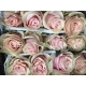 ROSES ECUADOR 50 ROSA CLARO PINK MONDIAL          