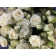 ROSAS SPRAY BLANCA JOSEPHINE 60/70CM IMPORTACION  