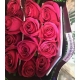 ROSES ECUADOR 50 ROSA CLARO PINK MONDIAL          