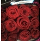 ROSES.ECUADOR 50 ROJA EXPLORER                    