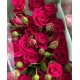 ROSAS SPRAY PINK YO-YO 60 CERISE IMPORTACION      