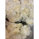 CLAVEL.FANCY BLANC X20 TALLOS                     