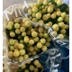 HYPERICUM SALMON COCO GELATO 60/70 IMPORTACION HOL