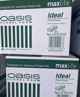 XCCA. OASIS FLORAL FOAM MAX LIFE CAJA MOSSIMOLL   