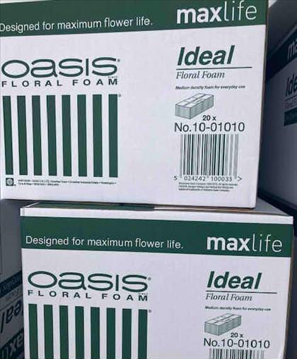 XCCA. OASIS FLORAL FOAM MAX LIFE CAJA MOSSIMOLL   