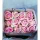 ROSES ECUADOR 40 BICOLOR ROSA ROSITA VENDELA      