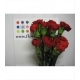 CLAVEL.SELECT ROJO IMPORTACION                    