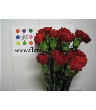 CLAVEL.SELECT ROJO IMPORTACION                    