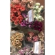 CLAVEL.FANCY COLORINES NO HAY FUXIAS/NI LILAS¡¡   