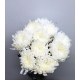 CRISANTEMO BOLA BLANCA CULTIVO NACIONAL EXTRA     
