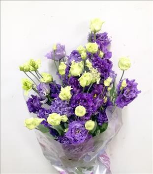 LISIANTHUS.AZUL ALISSA IMPORTACION HOLANDA        