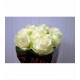 ROSAS AVALANCHE MEIJER 70 BLANCA IMORTACION HOLA  
