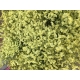 LIMONIUM EMILI DIAMOND AMARILLO NAC. CORTITO      
