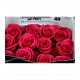ROSES ECUADOR 40 FUCSIA HOT PARTY                 