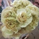 CLAVEL.CARAMELO CREMA IMPORTACION HOLANDA         