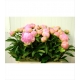 PEONIA ROSA CLARO DINNER PLATE 55 MPORTACION HOLAN