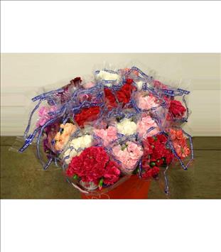 CLAVEL.MINI SELEC VARIADO IMPORTACION COLOMBIA    