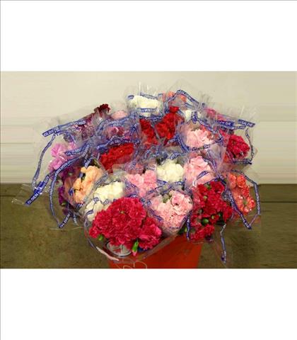 CLAVEL.MINI SELEC VARIADO IMPORTACION COLOMBIA    