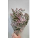 LIMONIUM ROSA NACIONAL                            