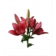 LILIUM LA. ROJO MARIANN TIMMER IMPORTACION HOL.   