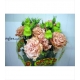 LISIANTHUS.SALMON ALISA LIGHT APRICOT IMP.        