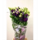 LISIANTHUS AZUL ROSITA BLUE IMPORTACION HOLANDA   
