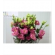 LISIANTHUS.ROSA CORELLIE                          