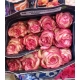 ROSES ECUADOR 40 BICOLOR FUCSIA PALOMA/VINTAGE    