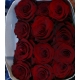 ROSES ECUADOR 40 ROJA EXPLORER                    