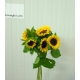 HELIANTHUS GIRASOL PEQUEÑO CULTIVO NAC.(MINI)     